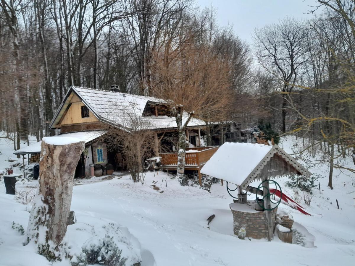 With A Pool In Medvednica Nature Park Kır Evi