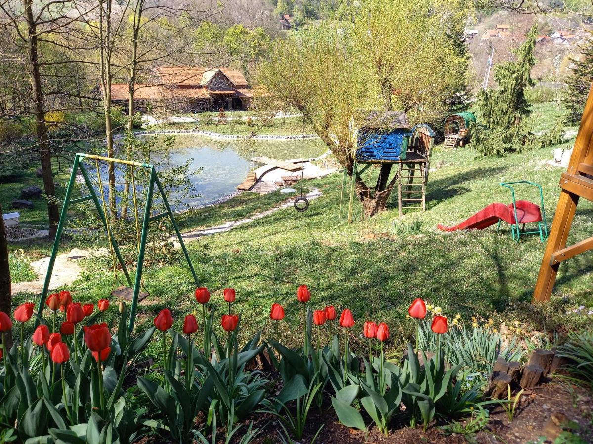 With A Pool In Medvednica Nature Park Záhřeb