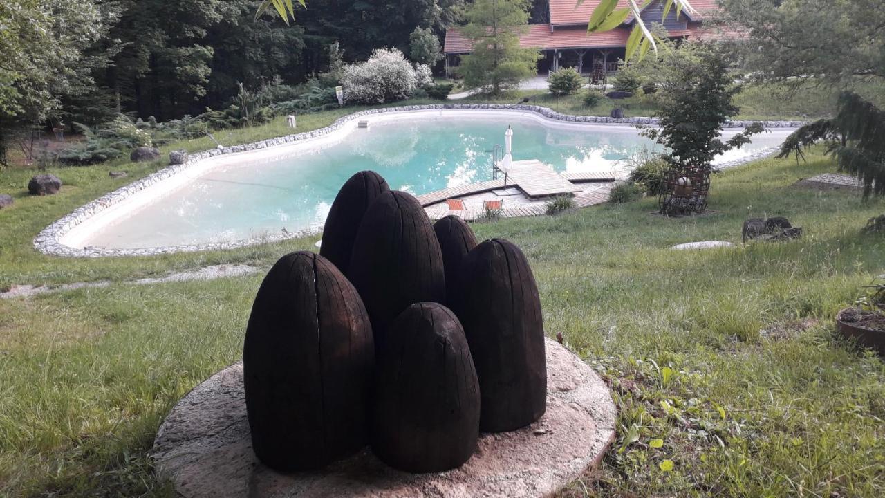 With A Pool In Medvednica Nature Park * Záhřeb