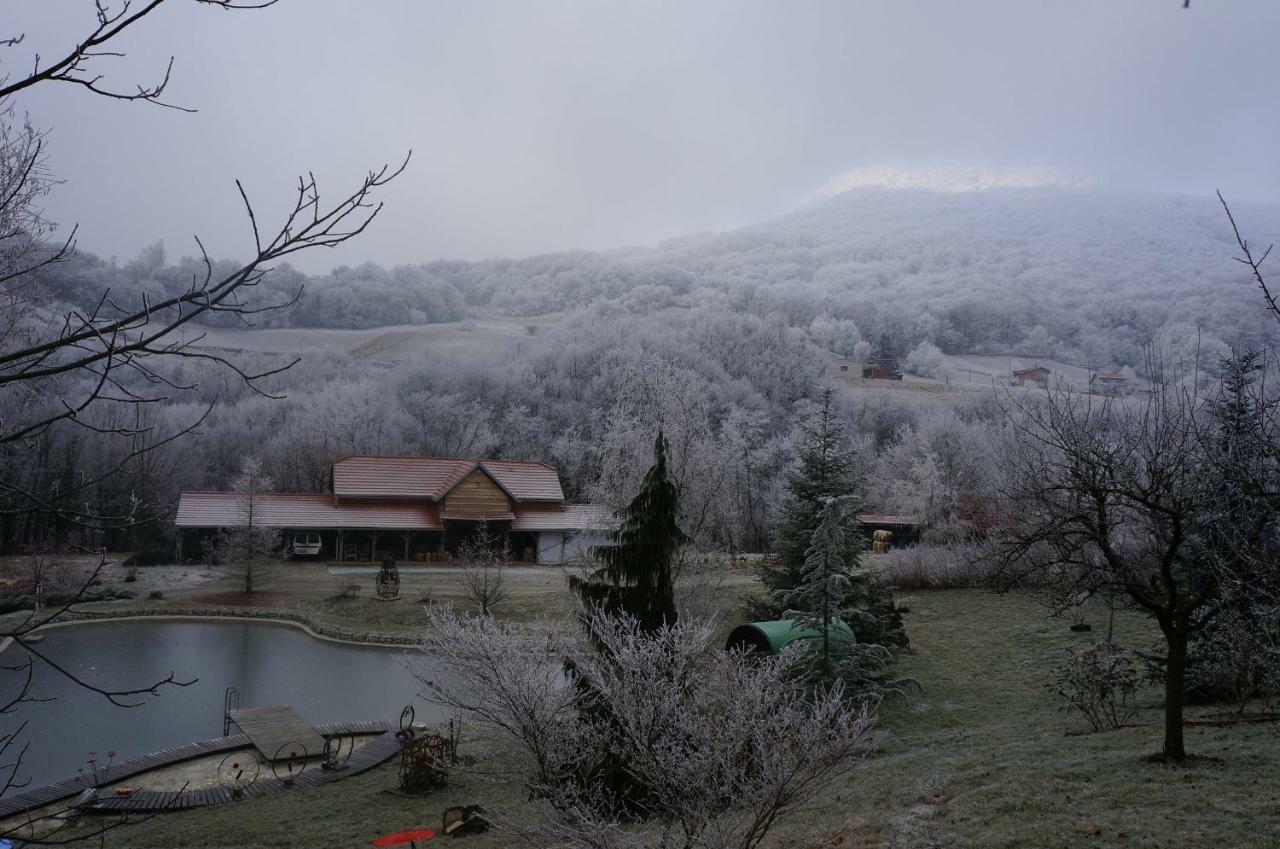 With A Pool In Medvednica Nature Park * Záhřeb